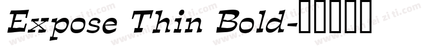 Expose Thin Bold字体转换